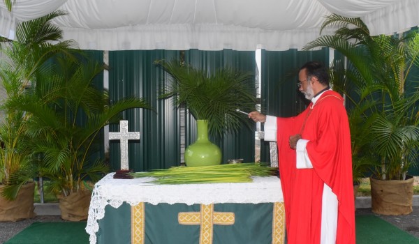 Puerta del Cielo celebra Domingo de Ramos 